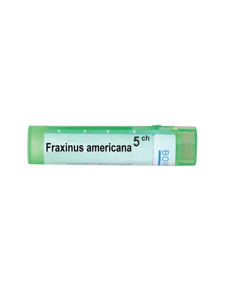 Boiron Fraxinus americana / Фраксинус американа 5 CH