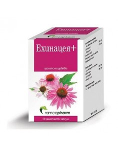 ЕХИНАЦЕЯ+ КАПС. Х 50 РАМКОФАРМ